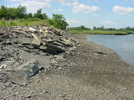 Belle Isle Marsh