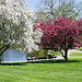Boston Public Garden (75)